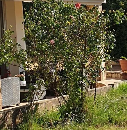 Couette-café Renzo E Lucia Sant Isidoro (Sardinia)