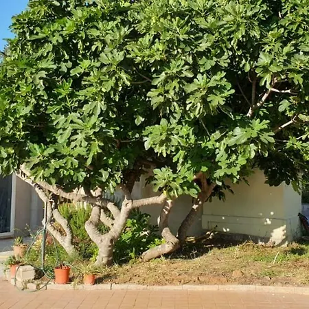 Renzo E Lucia Bed & Breakfast